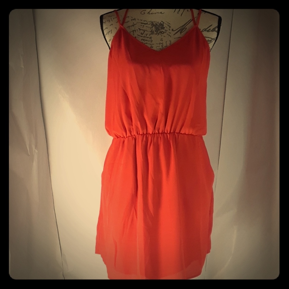 Banana Republic Sheer dress